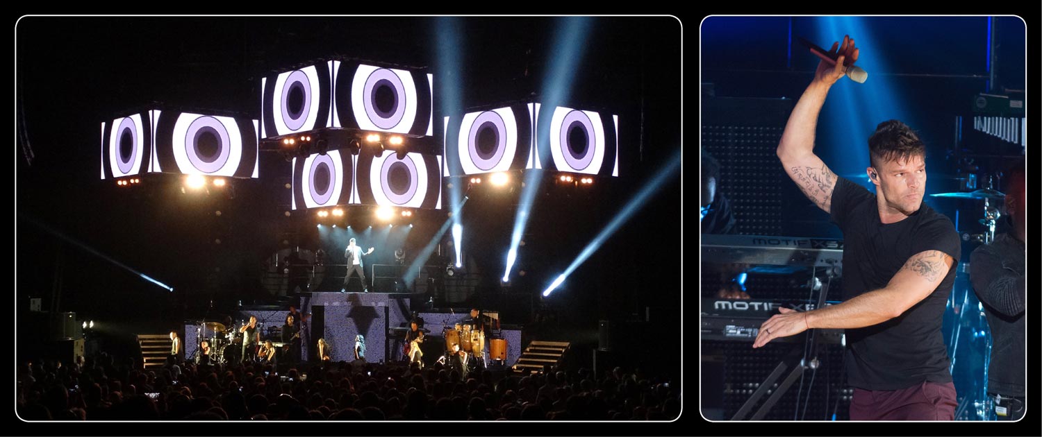Ricky Martin lives La Vida for Autism Rocks