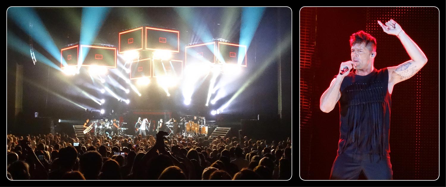 Ricky Martin lives La Vida for Autism Rocks