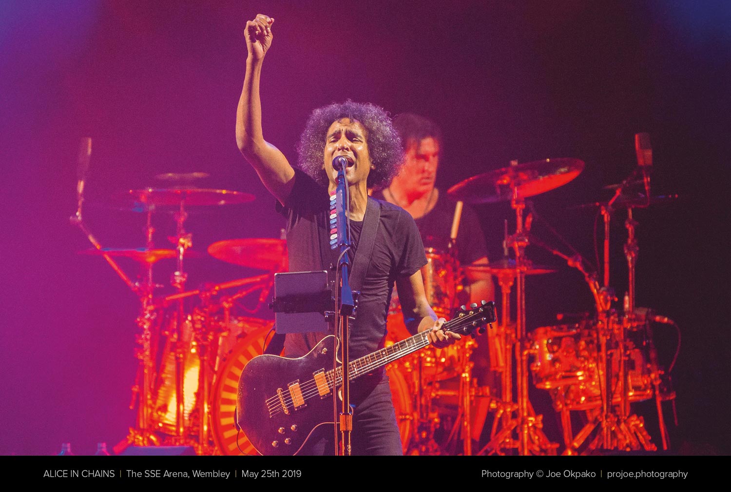 Alice in chains 2019 Alice in chains 2019