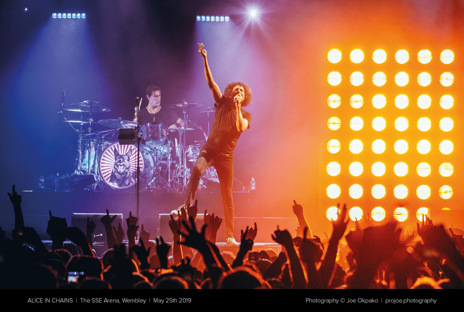 Alice in chains 2019 Alice in chains 2019